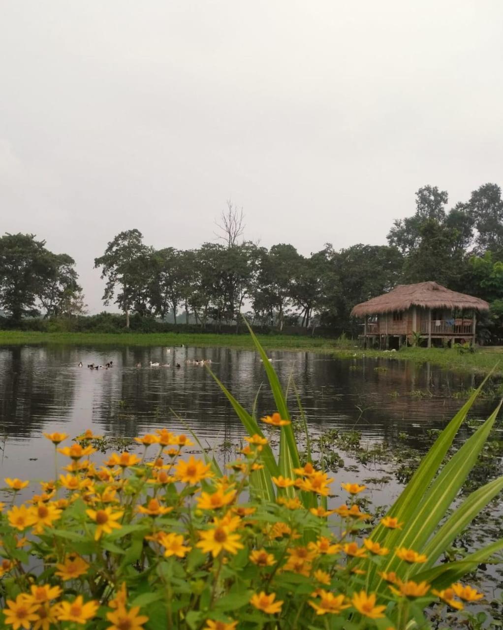 Yagdrasill Bamboo Cottage Bamungaon Extérieur photo